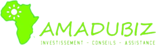 AMADUBIZ — Investissement, Conseils, Assistance